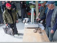 2014-05-22 -IMG 0121